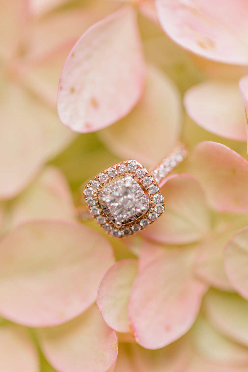 Tom&EmWeddings-1665.jpg