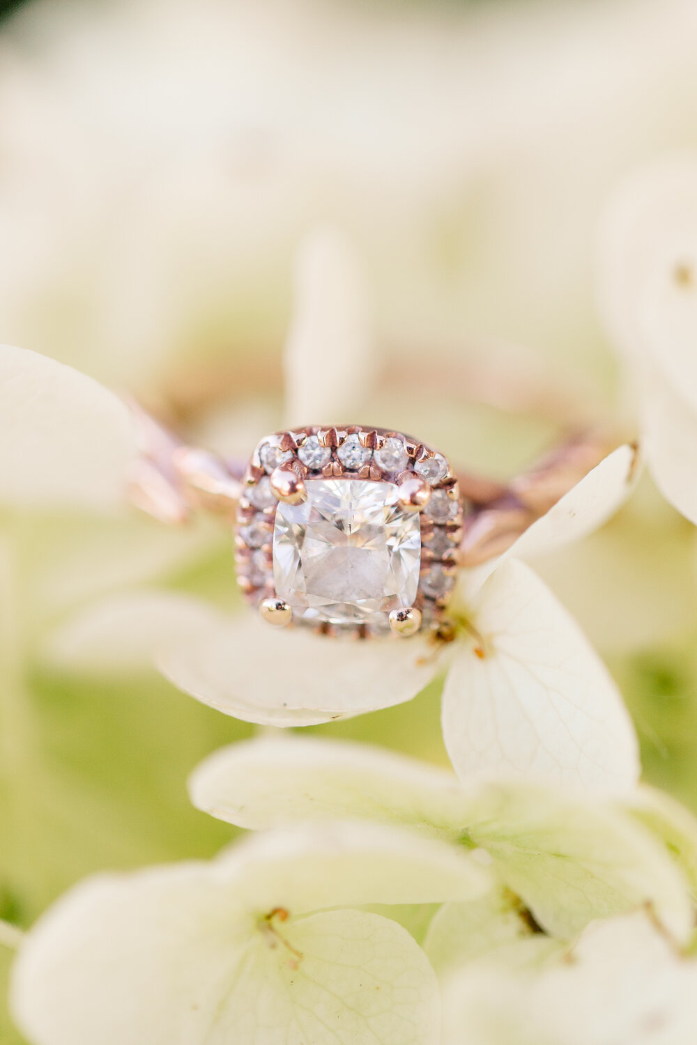 TomandEmWeddings-0911.jpg